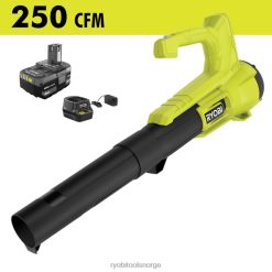 RYOBI 18v one+ 250 cfm vifte/feiesett utendørs Z800T312