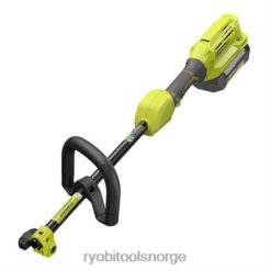 RYOBI 40V strømhodesett for feste utendørs Z800T298